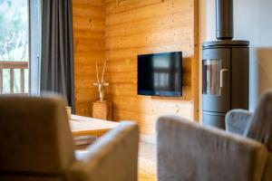 Televízia a/alebo spoločenská miestnosť v ubytovaní Chalet le 4 - numéro 4