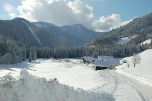 Chalet le 4 - numéro 4 v zime