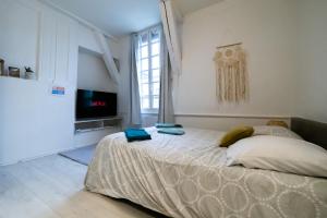 a bedroom with a bed and a tv in it at La Chouette de la Cathédrale - Calme - Jardin - Wifi in Troyes