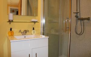 a bathroom with a sink and a shower at Fairy Glen Cottage in Uig +27 photos