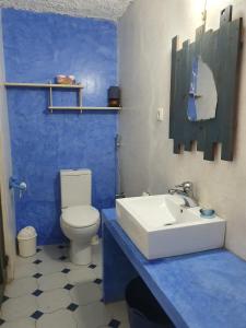 La salle de bains bleue est pourvue de toilettes et d'un lavabo. dans l'établissement Casa Norte, à Baia das Gatas