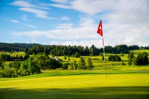 un drapeau rouge sur un parcours de golf vert dans l'établissement Golf du Rochat, aux Rousses