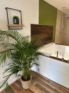 a bathroom with a sink and a palm plant in it at Jungle room in Sotteville-lès-Rouen