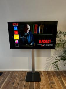a flat screen tv on a stand in a room at Jungle room in Sotteville-lès-Rouen