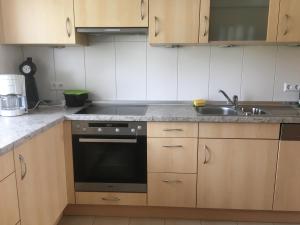 Kuchyň nebo kuchyňský kout v ubytování Ferienwohnung Arnika