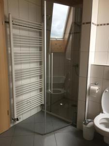 a bathroom with a shower and a toilet at Ferienwohnung Arnika 