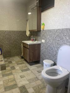 a bathroom with a toilet and a sink at Hotel Odabade in Zugdidi +18 photos