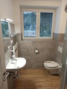 een badkamer met een wastafel, een toilet en een raam bij Penzion U Vody in Horní Bečva