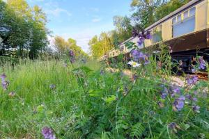 Κήπος έξω από το Carriage 2 - Coalport Station Holidays +4 φωτογραφίες