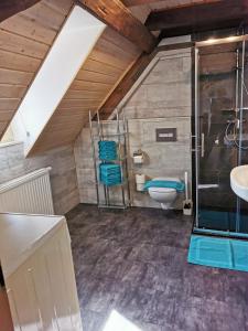 een badkamer met een douche, een toilet en een wastafel bij Apartment am Zolltor in Wertheim