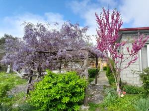 a garden with purple flowering trees and a pergola at Tiny houses Genacvale in Martvili