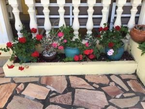 a flower box with geraniums and plants on a porch at Les Capucines in Saint-Pierre