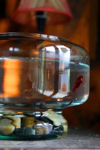 Fotografie z fotogalerie ubytování Logis Hotel Restaurant Auberge Du Peras v destinaci Saint-Jean-du-Gard