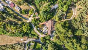 una vista aérea de una carretera en un bosque en Guest House Antico Frantoio Pietrasanta Affittacamere, en Pietrasanta