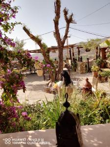 Foto dalla galleria di Dar Isselday a Tisseldeï