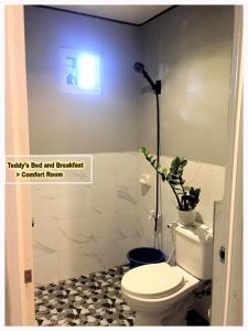 uma casa de banho com um WC e um vaso de plantas em Teddys Bed & Breakfast lodge 