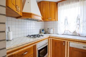 A kitchen or kitchenette at Vineyard cottage Cvitkovič
