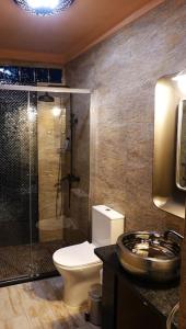 CampinhoにあるAladin Comfort Country T3のトイレ、シャワー、洗面台を備えたバスルーム