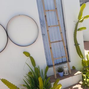 eine Leiter, die mit Pflanzen an eine Wand lehnt in der Unterkunft Monte da Lagoa in Altura