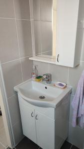 a bathroom with a white sink and a mirror at Studio Centar in Petrovac na Mlavi