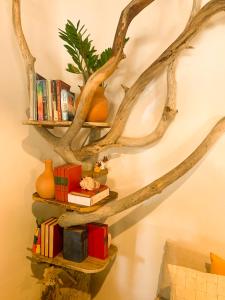 una repisa de árbol con libros y jarrones. en Casa do CAMPO Atins com super Conforto, en Atins