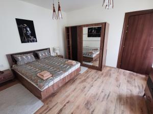 a bedroom with a bed and a large mirror at APARTAMENT REGUN in Reghin