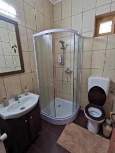 a bathroom with a shower and a toilet and a sink at APARTAMENT REGUN in Reghin