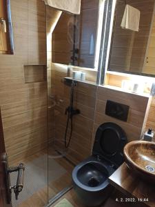 La salle de bains est pourvue d'une douche, de toilettes et d'un lavabo. dans l'établissement Rooms and apartmants Mirovic, à Kolašin