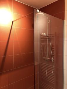 a bathroom with a shower with a glass door at Appart boheme chic in Annecy
