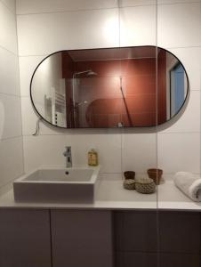 een badkamer met een wastafel en een spiegel aan de muur bij Appart boheme chic in Annecy
