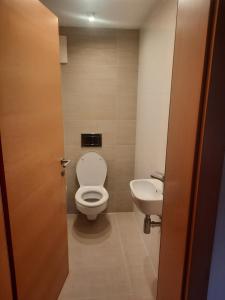 a bathroom with a toilet and a sink at One Bedroom Apartment with Panoramic views in Piesendorf