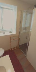 a shower with a glass door in a bathroom at Casa do Avô Horácio in Carreço