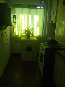 kuchnia z rośliną na górze toalety w obiekcie Casa Bloise w BuenosAires