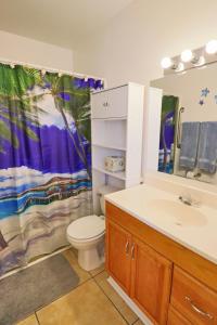 ein Badezimmer mit einem Waschbecken, einem WC und einem Duschvorhang in der Unterkunft Jewell Cottage in Port Saint Joe
