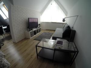 Televízia a/alebo spoločenská miestnosť v ubytovaní Studio Stroma Zakopane