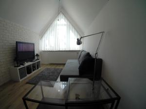Televízia a/alebo spoločenská miestnosť v ubytovaní Studio Stroma Zakopane