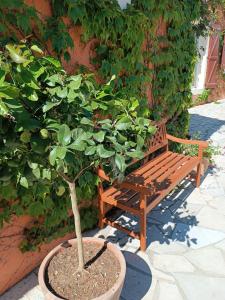 a wooden bench sitting next to a small tree at Aux Berges du Canal in Capestang