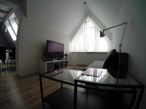 Televízia a/alebo spoločenská miestnosť v ubytovaní Studio Stroma Zakopane