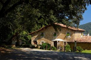 una gran casa de piedra con un árbol delante en Mas Molera Turisme Rural, en Sant Joan les Fonts