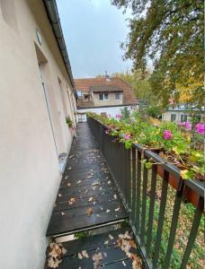 a walkway leading to a house with flowers on it at Nice and comfortable studio in Pankow in Berlin