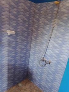 een douche in een badkamer met een blauwe muur bij Al Jannah in Somone