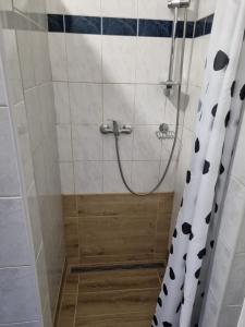 Kúpeľňa v ubytovaní Penzion Arcadia