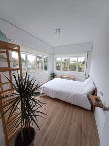 una camera con un grande letto e una pianta in vaso di Casa Maruxa a La Coruña