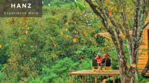 Zahrada ubytování HANZ DuMien Camping Dalat