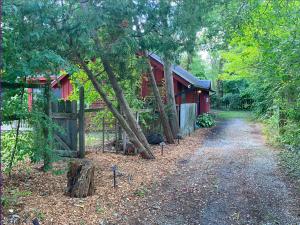 イプシランティにあるRetro Ypsilanti Cottage - Peloton & Vintage Vibesの森の赤い小屋へとつながる道