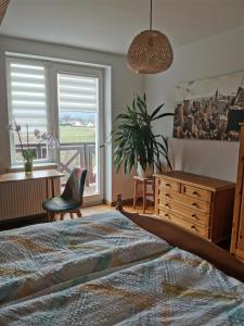 a bedroom with a bed and a desk and a window at Apartament Forest in Mysłakowice