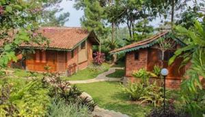 Zahrada ubytování Katumbiri Resort