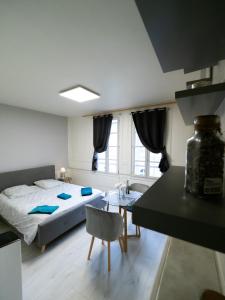 1 dormitorio con cama, mesa y escritorio en Le Papillon de la Cathédrale - Calme - Jardin - Wifi, en Troyes