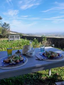 Riverie的住宿－Chateau De Riverie chambres et table d'hôtes，一张野餐桌,上面放着两盘食物