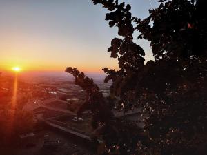 uma vista do pôr-do-sol a partir de uma árvore em Chateau De Riverie chambres et table d'hôtes em Riverie